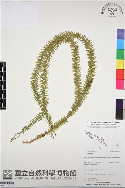 登錄號:BP03115藏品圖，第1張