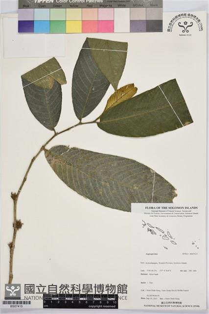 登錄號:BS07415藏品圖，第1張