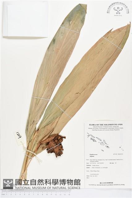 登錄號:BS02215藏品圖，第1張