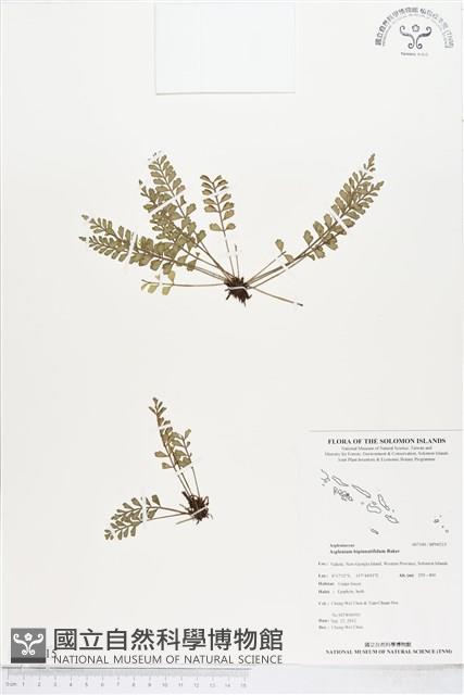 登錄號:BP00215藏品圖，第1張