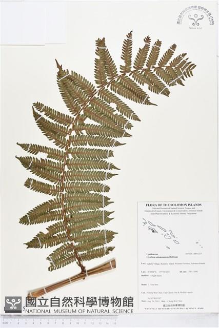 登錄號:BP01215藏品圖，第1張
