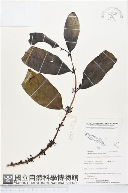 登錄號:BS05215藏品圖，第1張