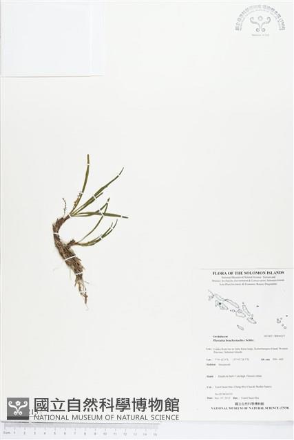 登錄號:BS04215藏品圖，第1張