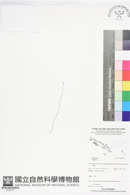 登錄號:BP02715藏品圖，第1張