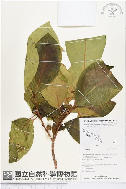 登錄號:BS02715藏品圖，第1張