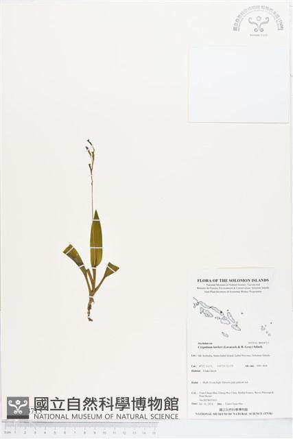 登錄號:BS04715藏品圖，第1張