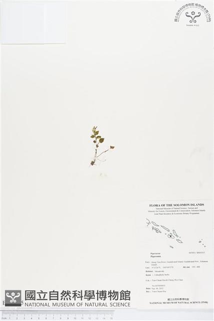 登錄號:BS01515藏品圖，第1張