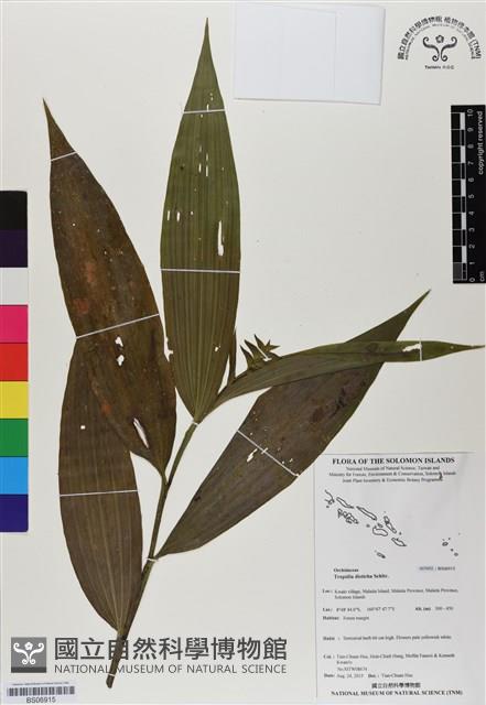 登錄號:BS06915藏品圖，第1張
