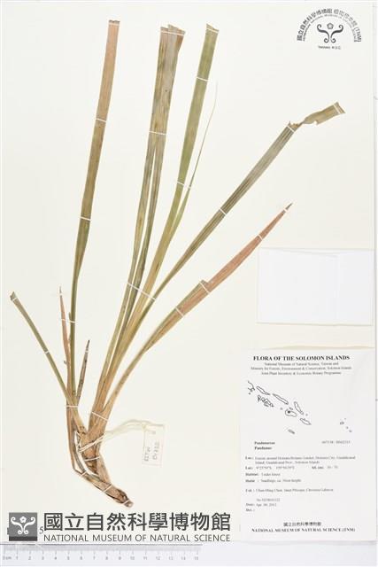 登錄號:BS02315藏品圖，第1張