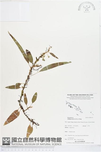 登錄號:BP01315藏品圖，第1張