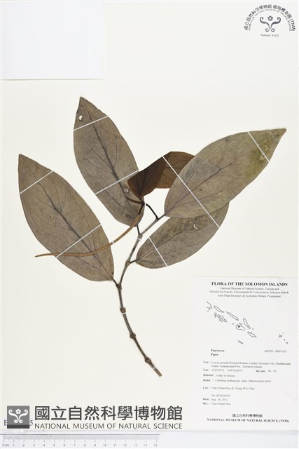 登錄號:BS01315藏品圖，第1張