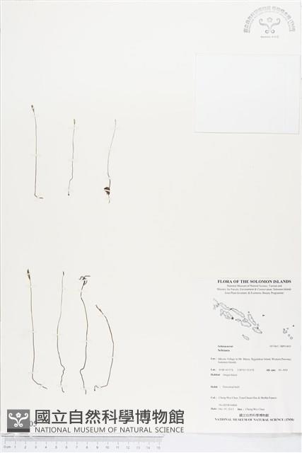 登錄號:BP01805藏品圖，第1張