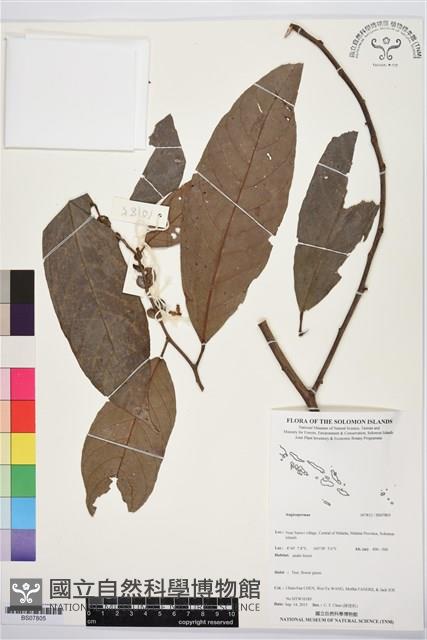 登錄號:BS07805藏品圖，第1張