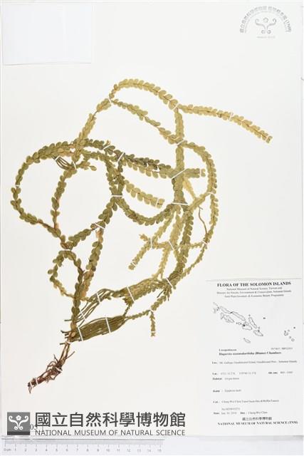 登錄號:BP02005藏品圖，第1張