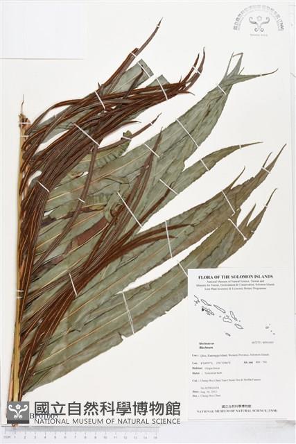 登錄號:BP01005藏品圖，第1張