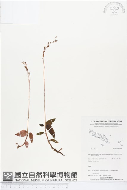 登錄號:BS04005藏品圖，第1張