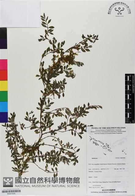 登錄號:BS07005藏品圖，第1張