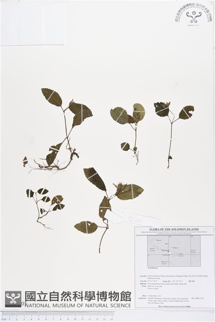 登錄號:BS01605藏品圖，第1張