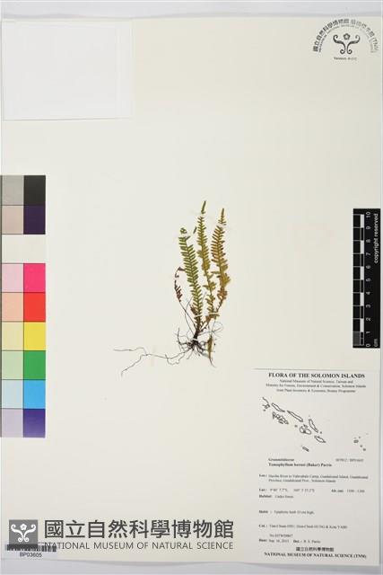 登錄號:BP03605藏品圖，第1張