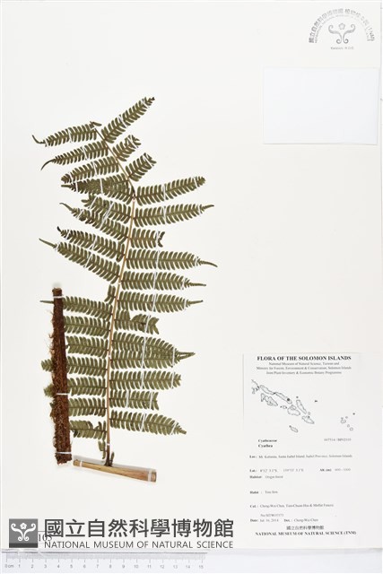 登錄號:BP02105藏品圖，第1張