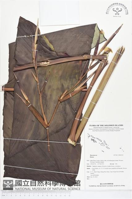 登錄號:BS02105藏品圖，第1張