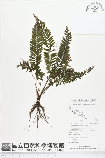 登錄號:BP00105藏品圖，第1張