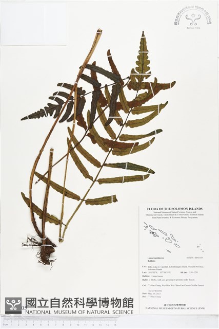 登錄號:BP01105藏品圖，第1張