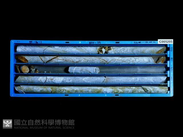 登錄號:C005205藏品圖，第1張