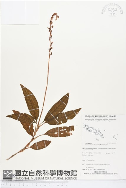 登錄號:BS04105藏品圖，第1張