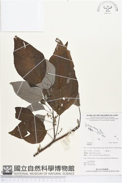 登錄號:BS03105藏品圖，第1張