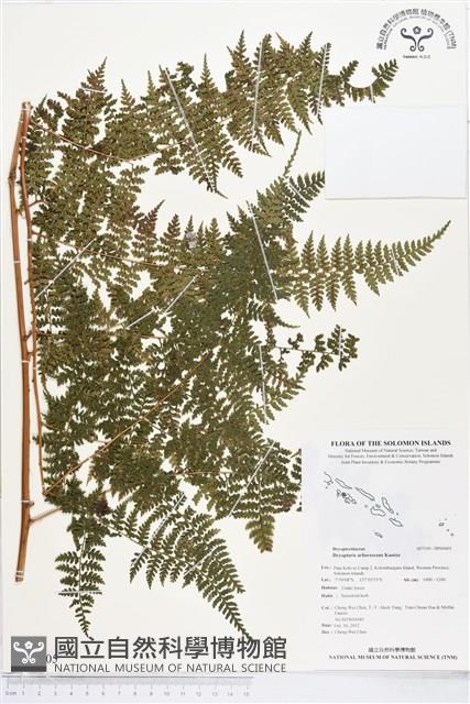 登錄號:BP00405藏品圖，第1張