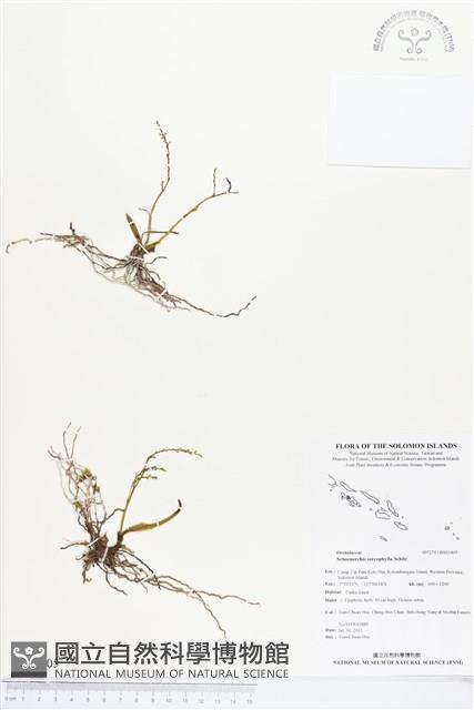 登錄號:BS03405藏品圖，第1張