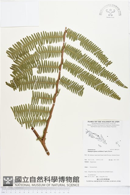 登錄號:BP02205藏品圖，第1張