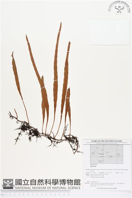 登錄號:BP00205藏品圖，第1張