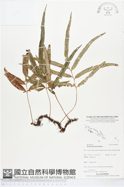 登錄號:BP01205藏品圖，第1張