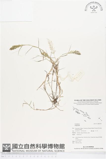 登錄號:BS02705藏品圖，第1張