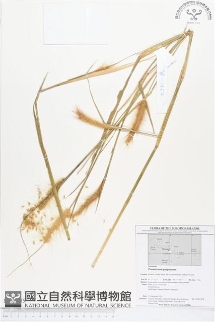 登錄號:BS01705藏品圖，第1張