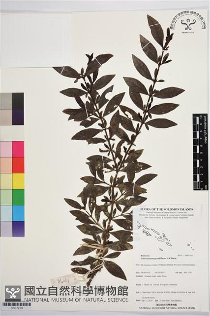 登錄號:BS07705藏品圖，第1張