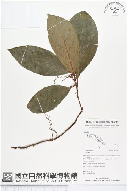 登錄號:BS01505藏品圖，第1張