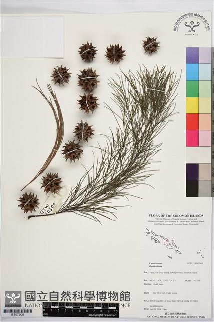 登錄號:BS07905藏品圖，第1張