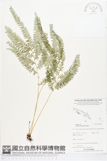 登錄號:BP01305藏品圖，第1張