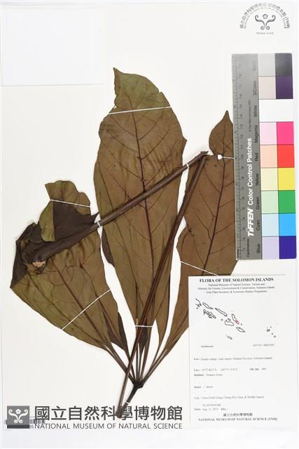 登錄號:BS07305藏品圖，第1張