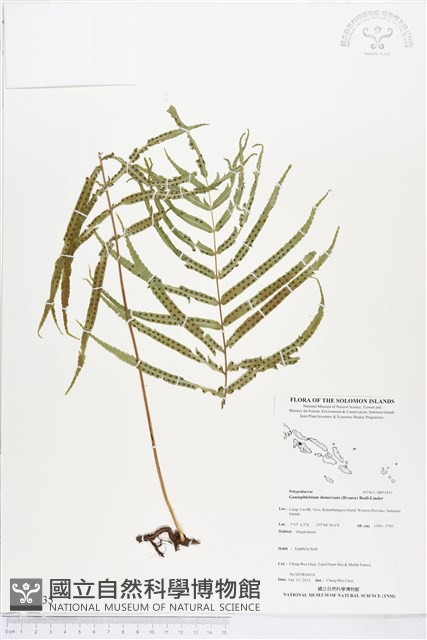 登錄號:BP01835藏品圖，第1張