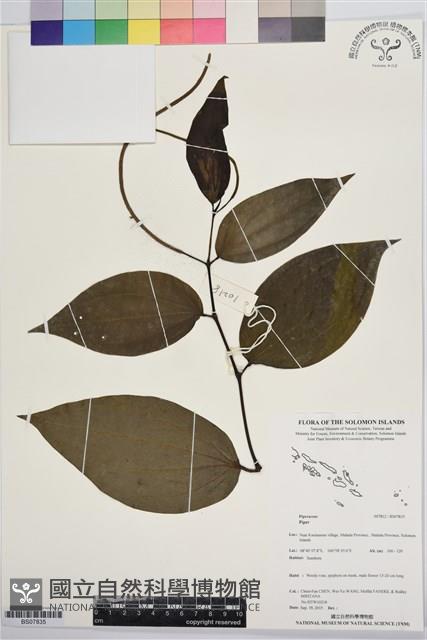 登錄號:BS07835藏品圖，第1張