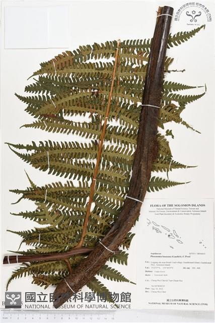 登錄號:BP00035藏品圖，第1張