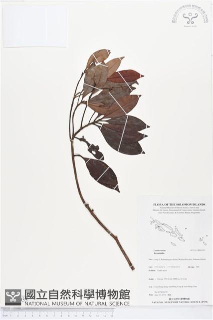 登錄號:BS05035藏品圖，第1張