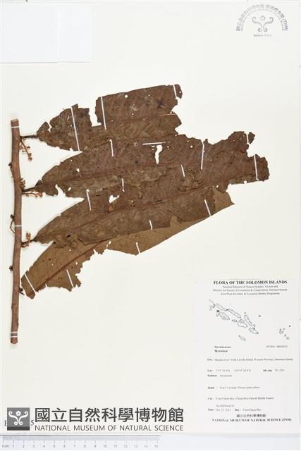 登錄號:BS04035藏品圖，第1張