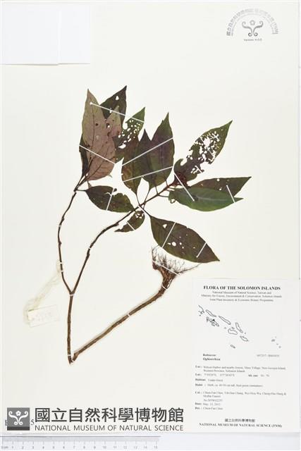 登錄號:BS03035藏品圖，第1張