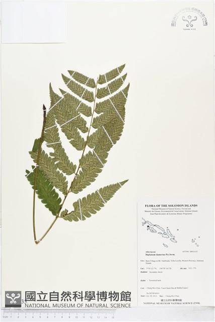 登錄號:BP01635藏品圖，第1張