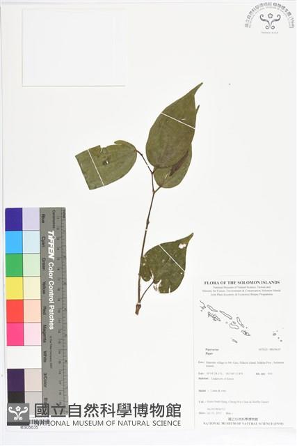 登錄號:BS05635藏品圖，第1張
